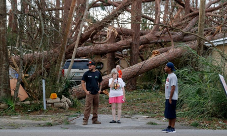 image_downed trees resulting from hurricane destruction
