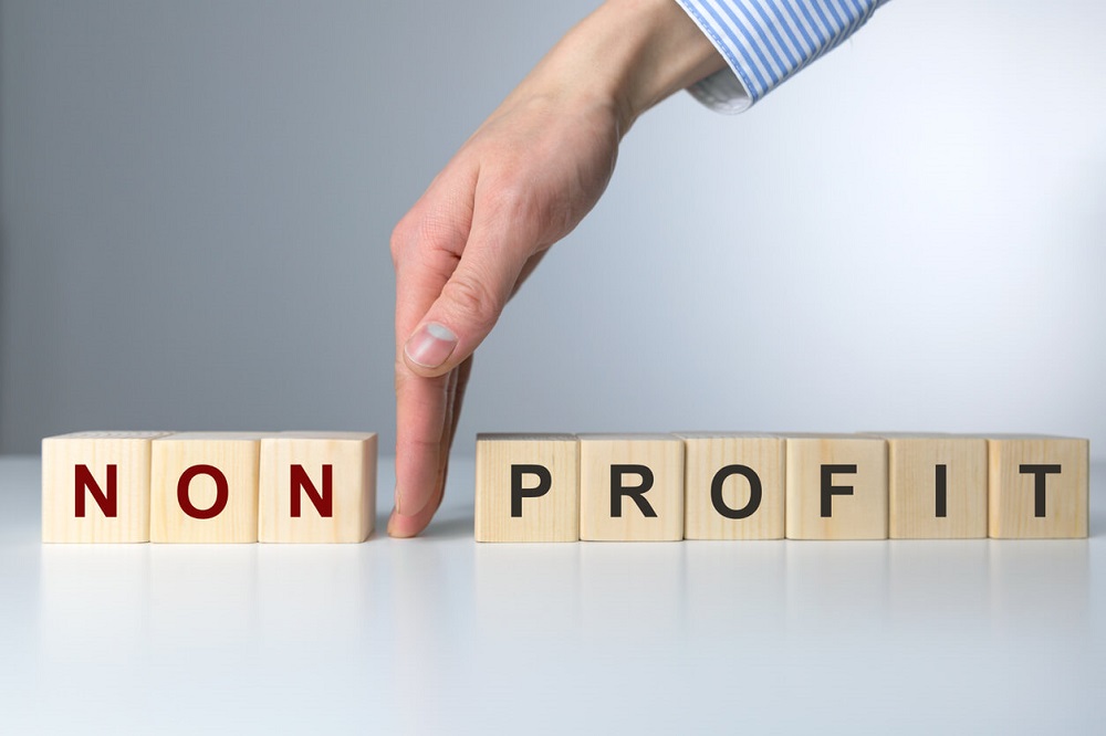 6 Differences Between For-Profit and Nonprofit Organizations